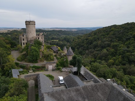 Roes - Burg Pyrmont